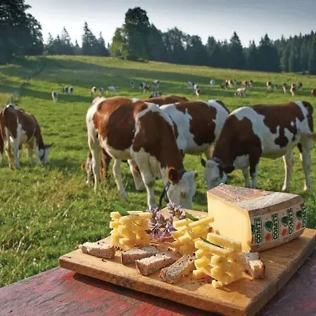 Villa La Fromagerie Jura Hauts-de-Bienne